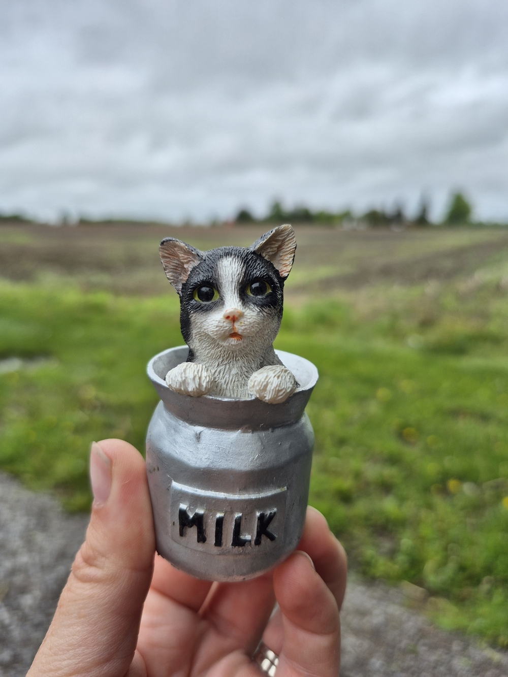 Vintage Regency Fine Arts Kitten Popping Out Of Milk Barrel 3"